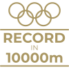 Milestone icon