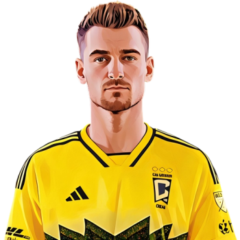 Amar Sejdič player cartoon