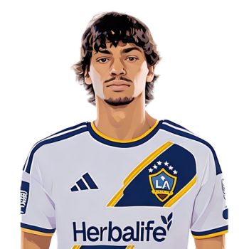 Player cutout icon