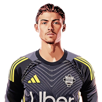 Player cutout icon