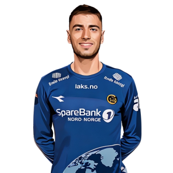 Nikita Haikin player cartoon