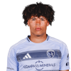 Player cutout