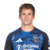 Player cutout