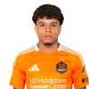Player cutout