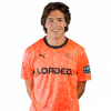 Player cutout