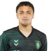 Player cutout