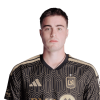 Player cutout