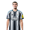 Player cutout