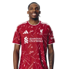 Player cutout