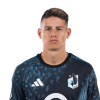 Player cutout