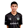 Player cutout