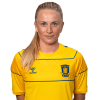 Player cutout