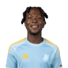 Player cutout