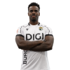 Player cutout