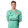 Player cutout