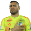 Player cutout
