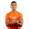 Player cutout