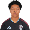 Player cutout