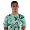Player cutout
