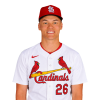 Player cutout