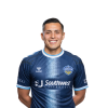 Player cutout
