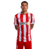 Player cutout