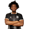 Player cutout