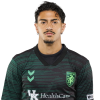 Player cutout