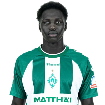 Ramiz Hamouda profile image