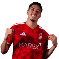 Player Cutout