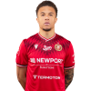 Player cutout