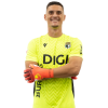 Player cutout