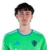 Player cutout