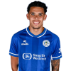 Player cutout