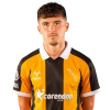 Player cutout