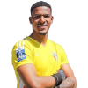 Player cutout