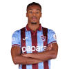 Player cutout