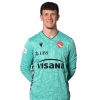 Player cutout