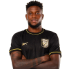 Player cutout