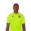Player cutout