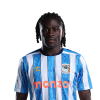 Player cutout