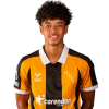 Player cutout