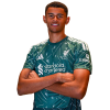 Player cutout