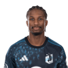 Player cutout