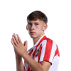 Player cutout
