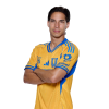 Player cutout