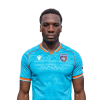 Player cutout