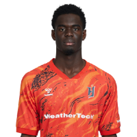 Player Cutout