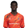 Player cutout