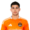 Player cutout